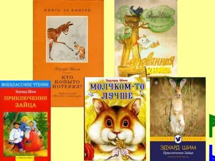 Красота сочинение шим