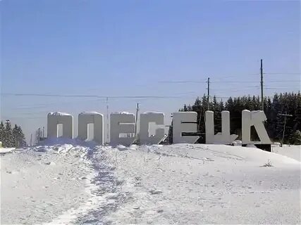 С плесецком