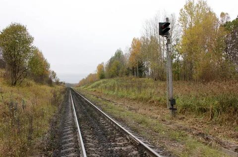 Погода себеж 3 дня