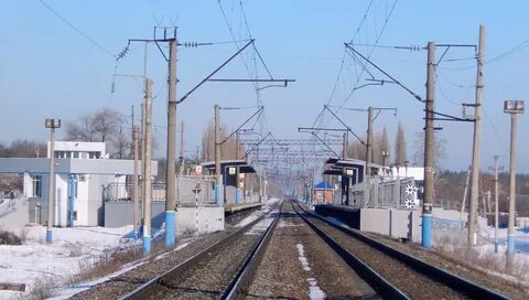 Электрички березовая роща углянец