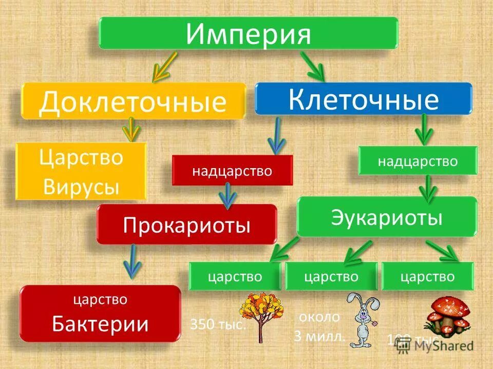 Надцарство прокариоты. Империя доклеточные. Империя доклеточные и клеточные. Доклеточные и клеточные формы жизни. Империя клеточные Надцарство.