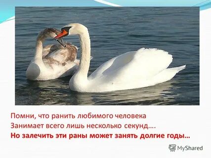 На долгие годы или года