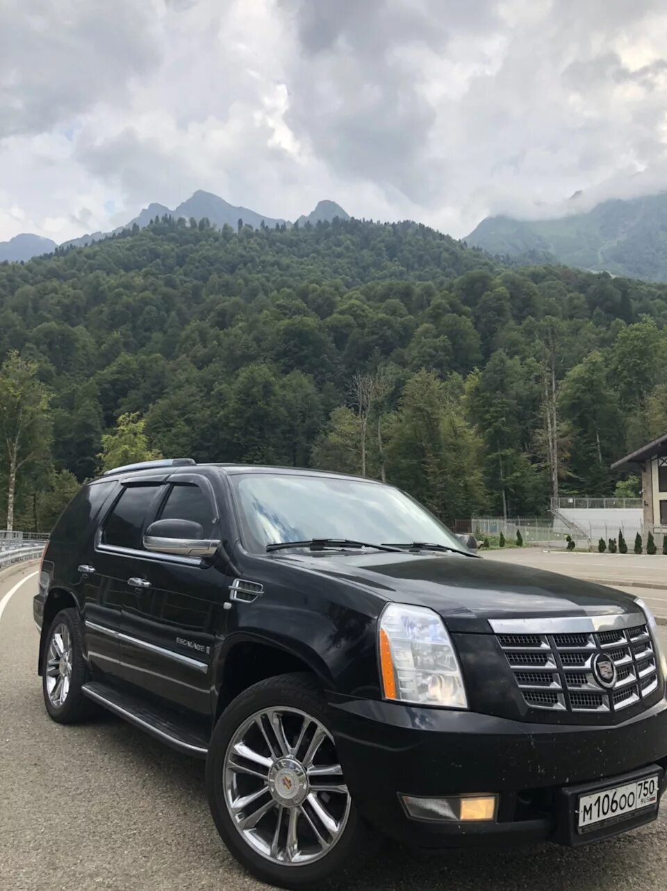 Кадиллак+эскалейд слон. Кадиллак гибрид. Chevrolet tahoe vs cadillac escalade. Cadillac escalade suv. Шевроле тахо и кадиллак.