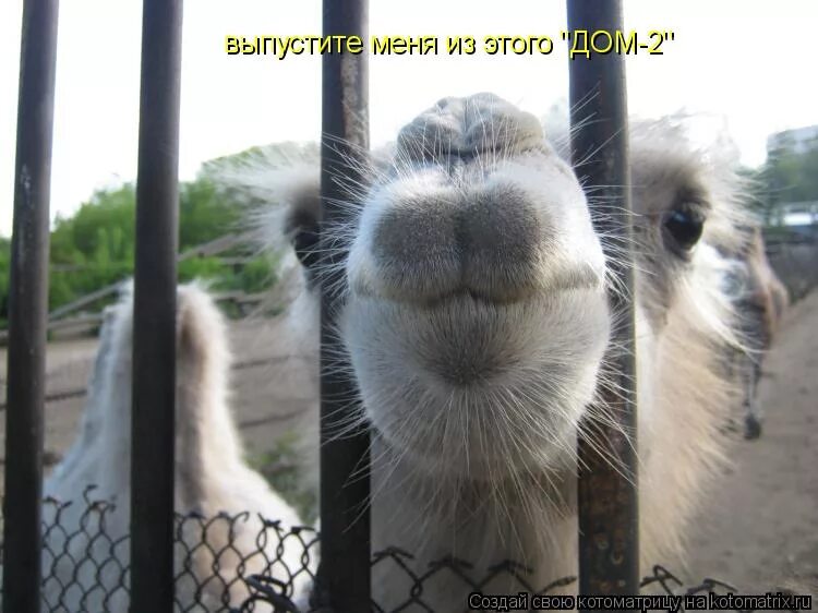 Дайте я вас расцелую. Поцелую тебя потом если захочешь. Я с побой неразговариваю. Дайте я вас сейчас расцелую. Дайте я вас сейчас расцелую.