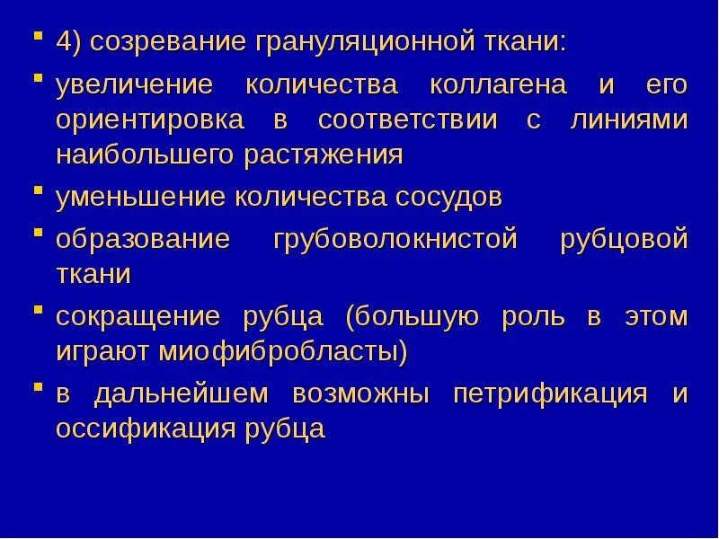 Строение грануляционной ткани. Строение грануляционной ткани. Грануляцио́нная ткань (. Грануляционная ткань гистология. Грануляционная ткань схема.