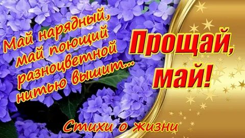 Мы встретимся в мае