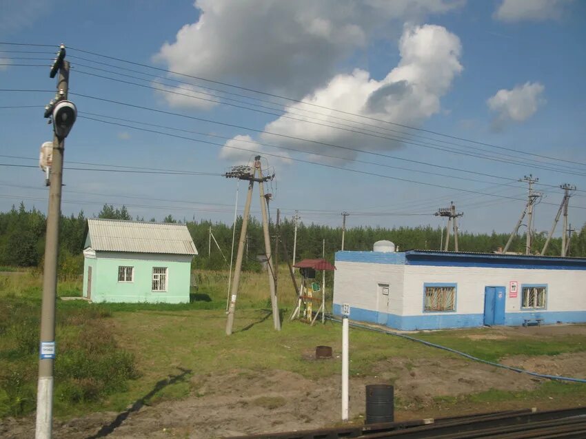 Прогноз в вилегодском районе