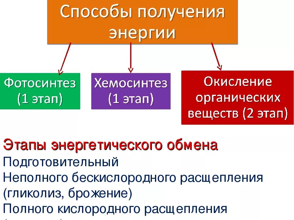Энергетический обмен определение. Метаболизм этапы энергетического обмена. энергетический обмен схема егэ. этапы энергетического обмена таблица. этапы энергетического обмена схема.