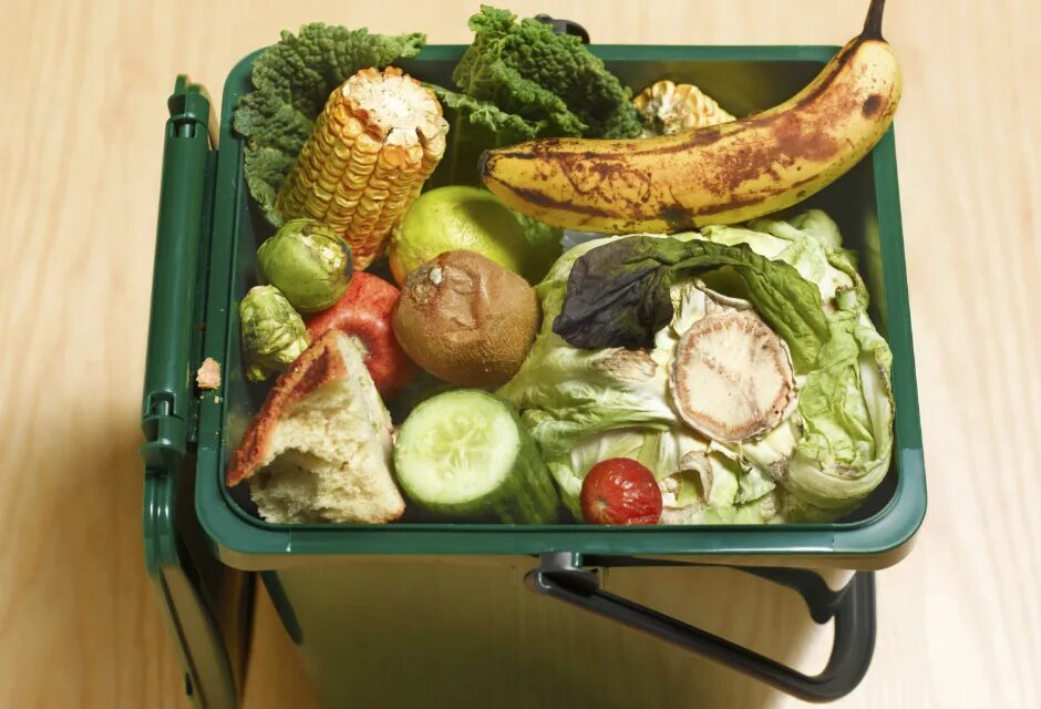 Отходы общественного питания. Пищевые отходы. Продукты из пищевых отходов. Выбрасывание еды. Еда мусор.