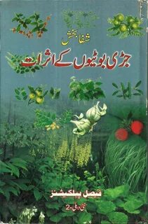 Книга шифа