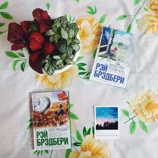 Лето прощай цитаты