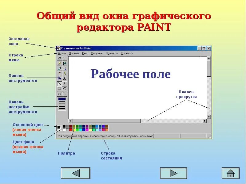 Инструменты графического редактора paint. Окно графического редактора. Возможности графического редактора Paint. Основные элементы графического редактора Paint. Название графических редакторов.