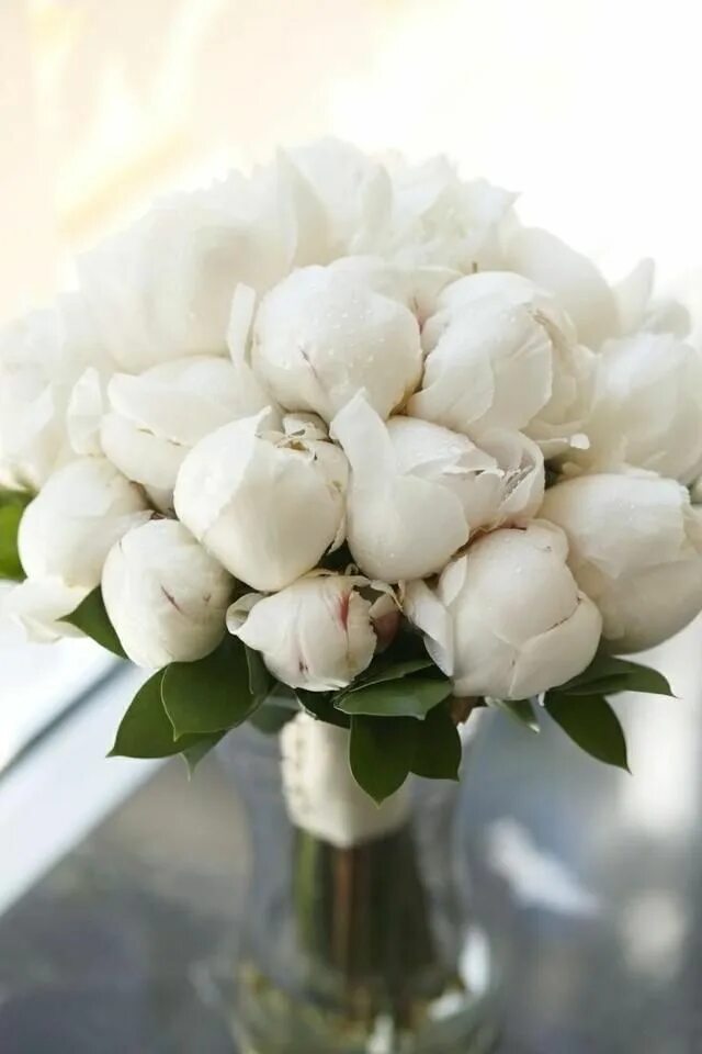 Pin auf интерьер Schöne blumen, Blumen, Pflanzen