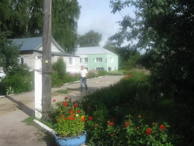 Сельская жизнь пителино