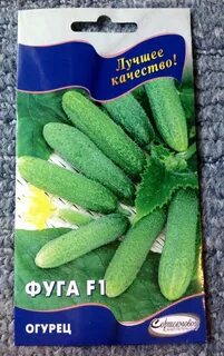 Кустовые огурцы сорта самоопыляемые