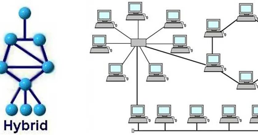 Смешанная топология сети. Гибридная топология сети. Гибридная топология локальной сети. Смешанная топология сети схема.