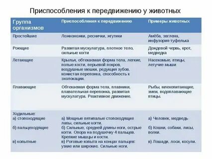 Виды приспособленности организмов таблица