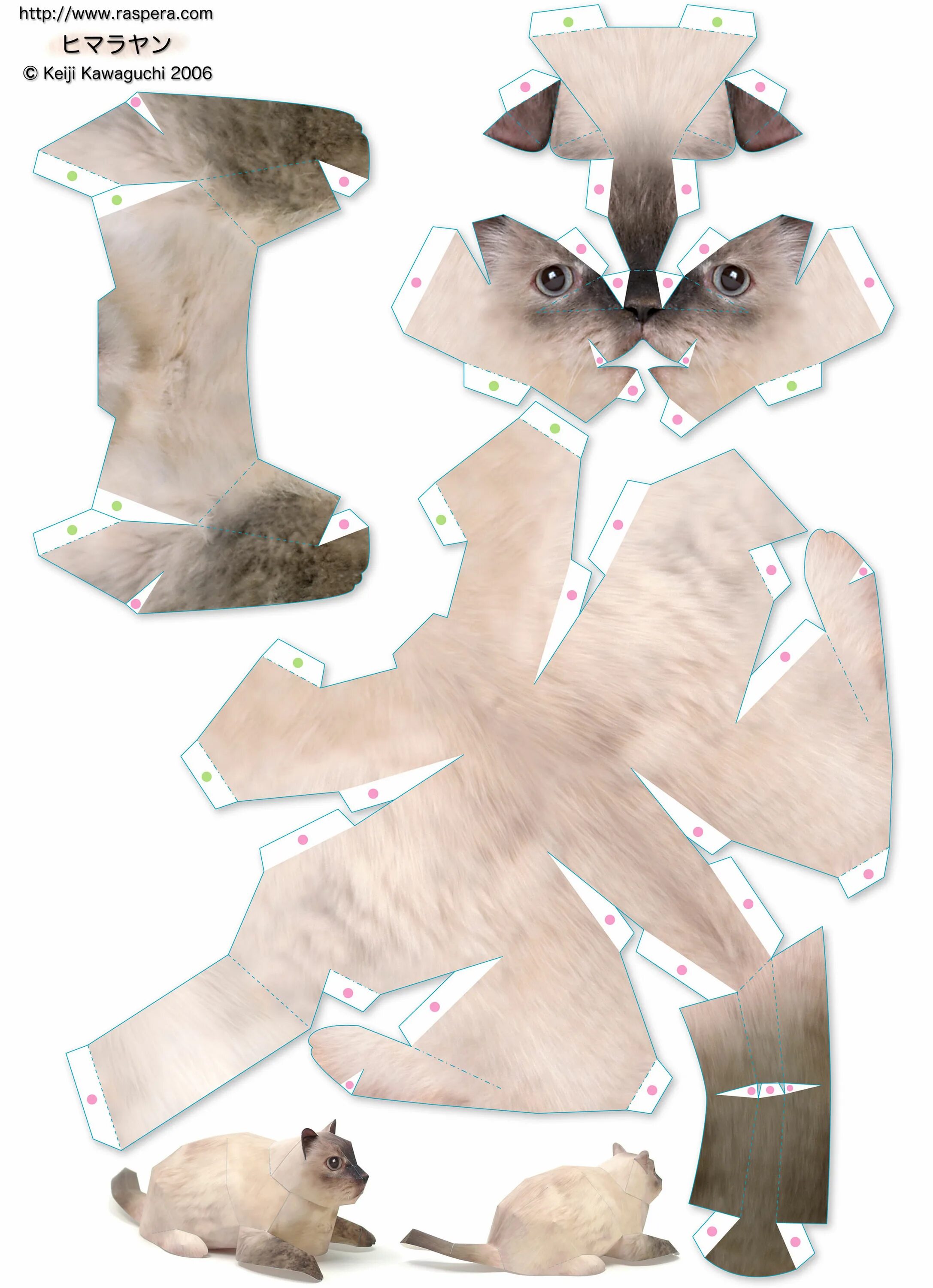 Объемная кошка из бумаги. Бумажные животные. Бумажные макеты животных. Объемные животные из бумаги. ;Bdjnyst BP ,RVFUB.