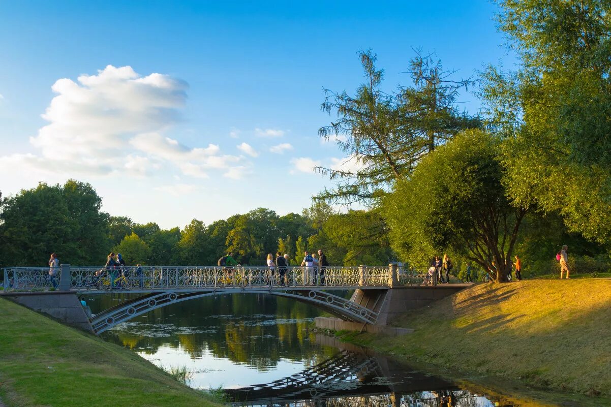таврический сад мостик. таврический сад в санкт-петербурге. таврический парк спб. осень питер таврический парк. таврический сад бесплатный.