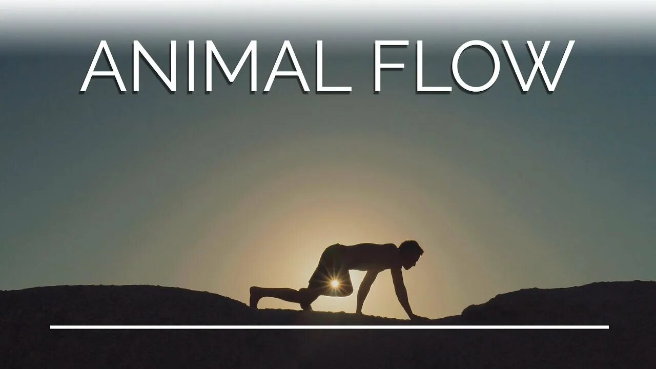 Animal flow logo. Элементы энимал флоу. Энимал флоу упражнения. Энимал флоу упражнения. Майк фитч animal flow.