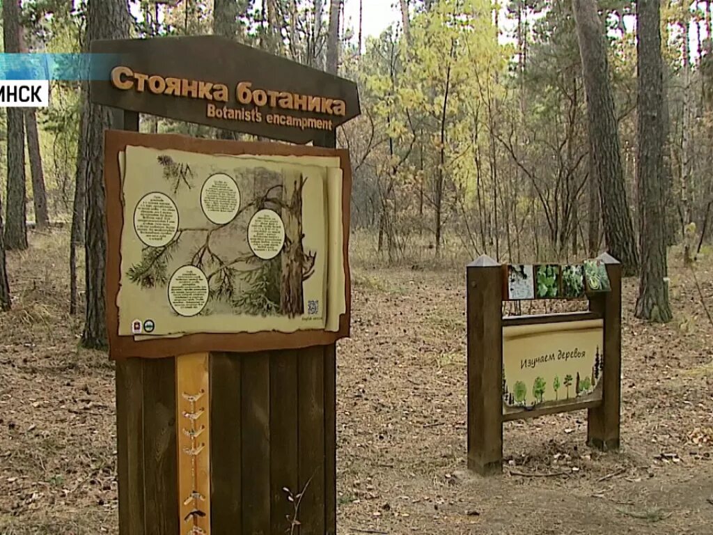 Городской Бор Челябинск экотропы. Экотропа серебрянный Бор. Челябинский городской Бор экологическая тропа. Экологическая тропа Челябинск. Почему бор назвали бор