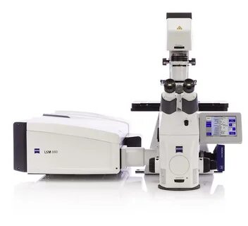 confocal Zeiss LSM 800 with Airyscan microscope for 2-,3-, and 4D visualiza...