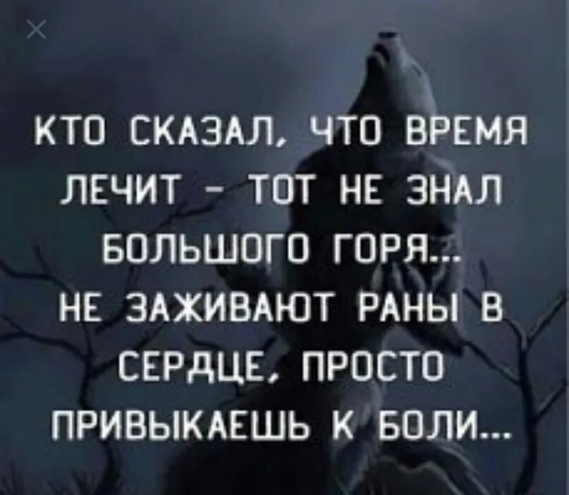 Кто сказал что время лечит. Кто сказал что время лечит стих. Кто сказал что время лечит тот не знал большого. Говорят ЧС то время лечит. Человек не знающий горя