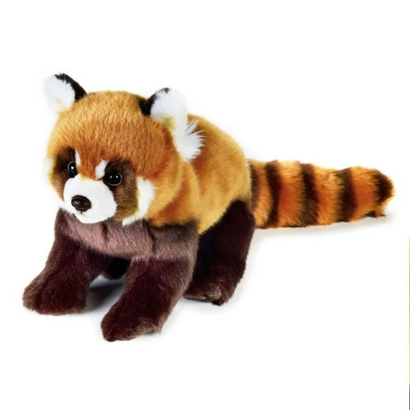 Купить красную панду в россии. Игрушки National Geographic Панда. Red Panda игрушка. Плюшевая малая Панда. Глазастик красная Панда игрушка.