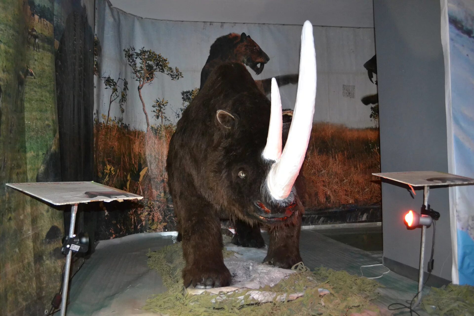 Пермь космическая выставка. Выставка «мир драконов». Движущиеся гиганты ледникового периода. Интерактивная выставка. Животные ледникового периода выставка.