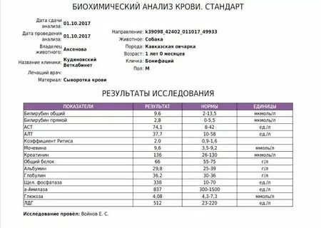 Сколько готовятся результаты мочи