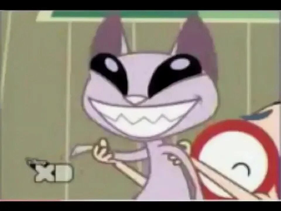 Cid cat