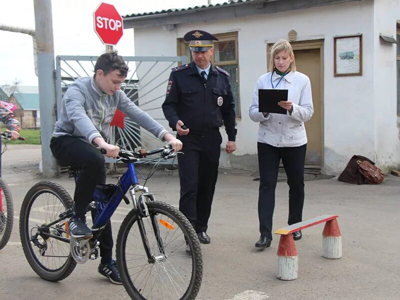 Досааф ртищево. Досааф россии чебоксары автошкола. Досааф ртищево. Автошкола досааф губкин. Досааф ртищево стоимость обучения.