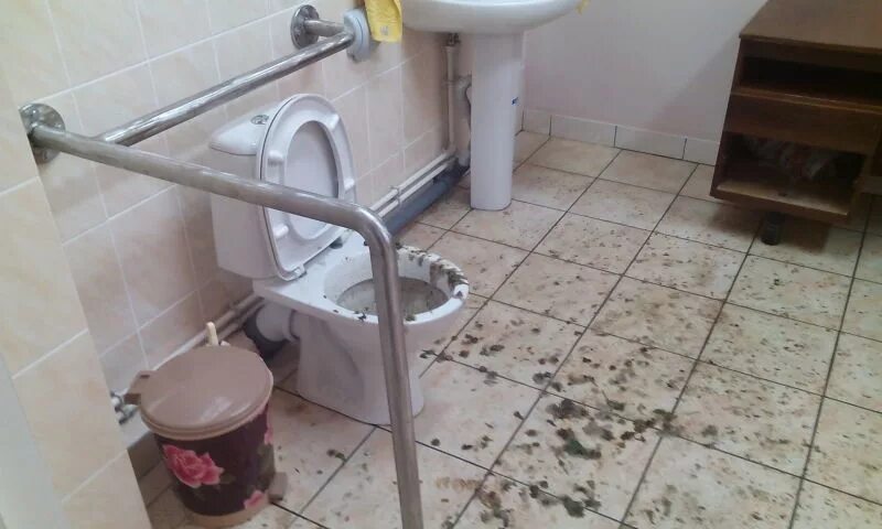 правильный поход в туалет. правильная поза для туалета. унитаз для людей с ограниченными возможностями. накладка на унитаз для инвалидов. как без ноги ходят в туалет.