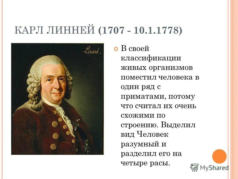 к линней представление о происхождении человека. линней представление о происхождении. линней представление о происхождении. карл линней (к. карл линней гипотеза о происхождении человека.