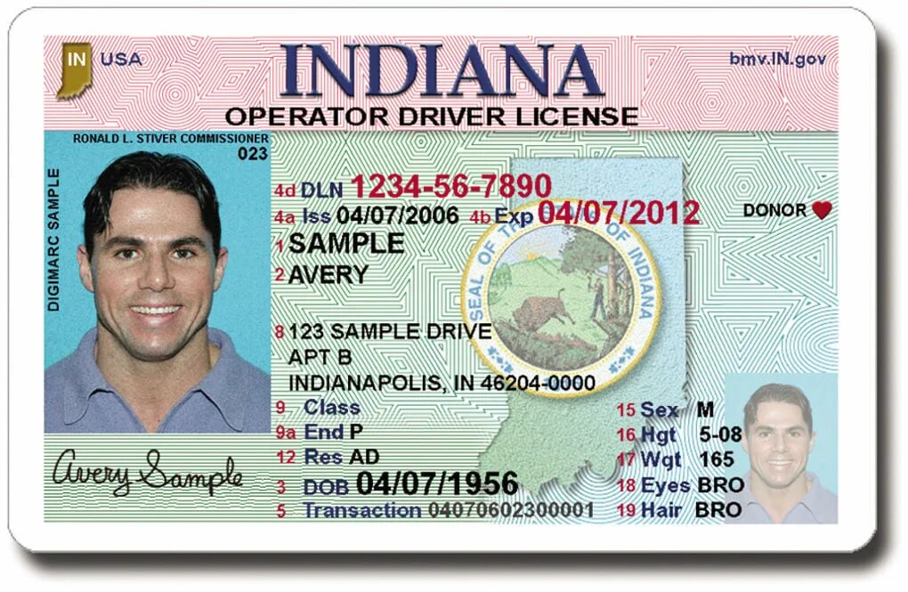 T license. Indiana Driver License. India Driver License. Indiana Driver License back.