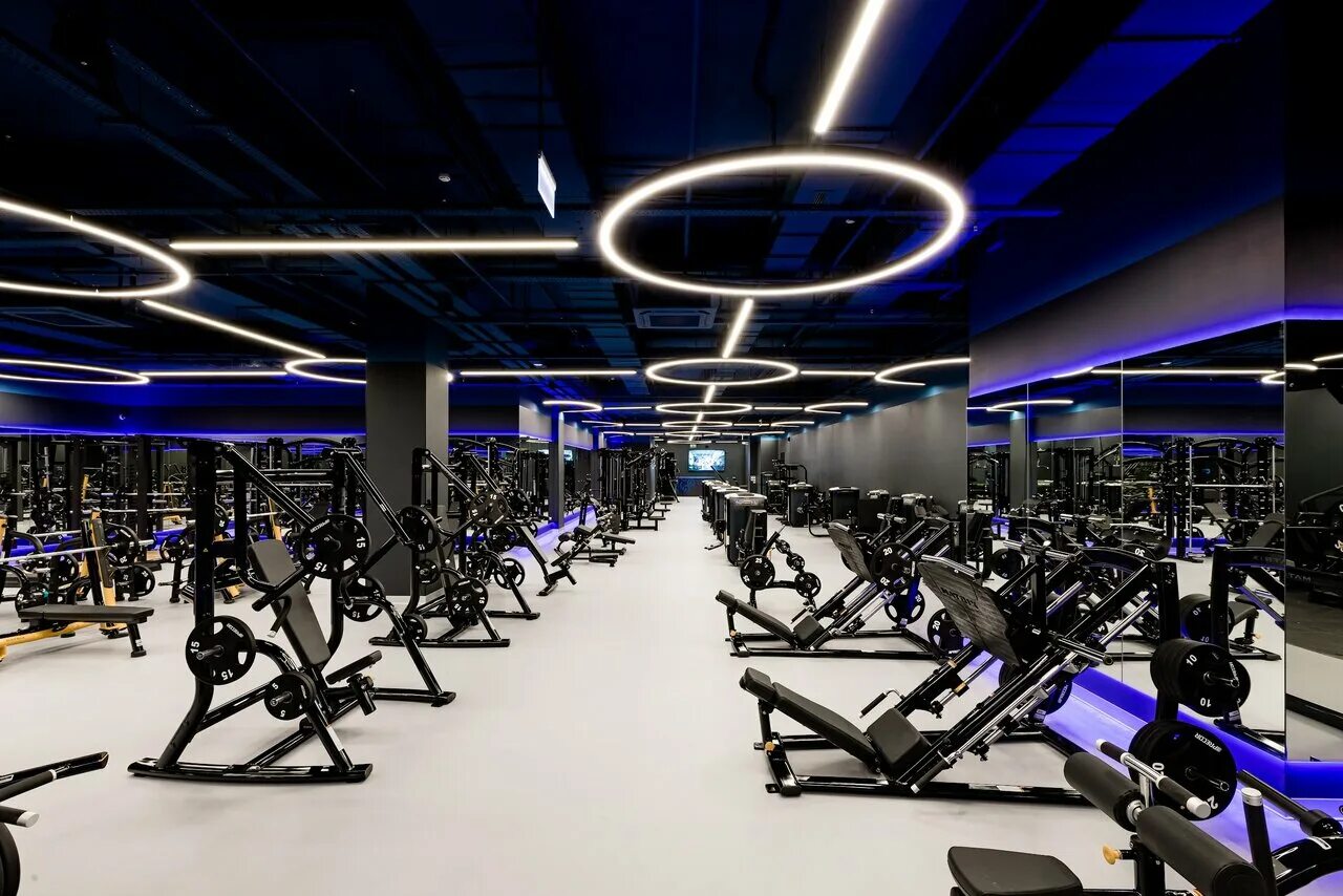 Охана мытищи 4daily. Ddx fitness европолис. Отзывы фитнес клубов москвы. Новое оборудование для фитнеса. Отзывы фитнес клубов москвы.