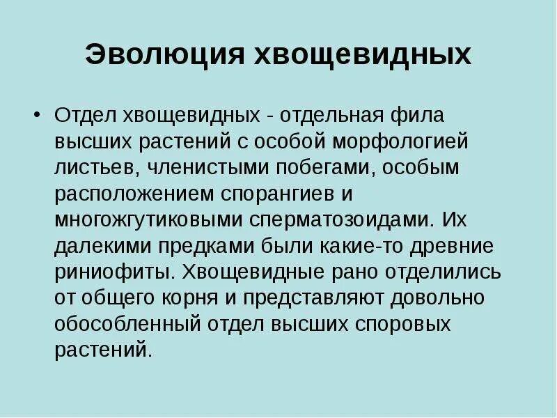 Отдел хвощевидные представители. Отдел хвощевидные 7 класс биология презентация. Хвощ полевой высшие растения споровые?. Отдел хвощевидные 7 класс биология презентация. Отдел хвощевидные 7 класс биология презентация.