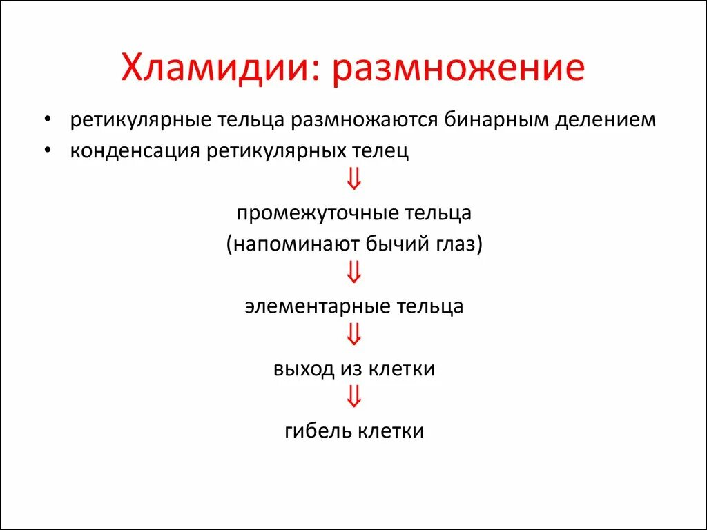 Этапы жизненного цикла хламидий. Хламидии размножение. Размножение хламидий происходит. Жизненный цикл хламидий схема.