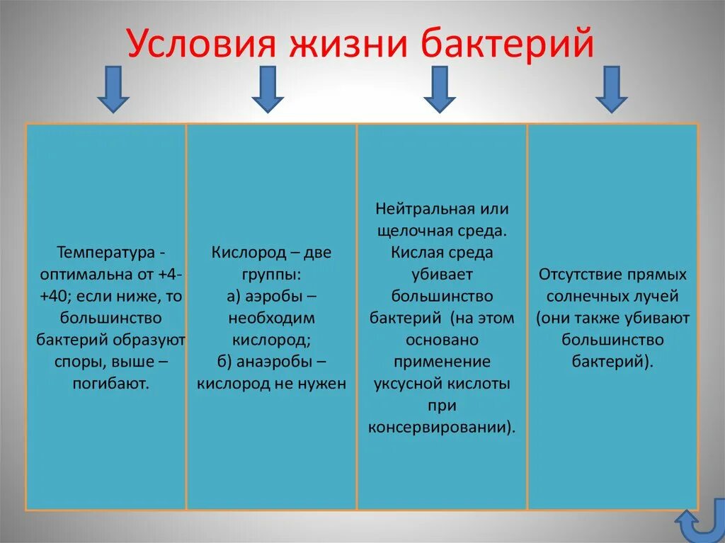 Условия жизни гражданина примеры. Условия жизни бактерий. Условия жизни микроорганизмов. Условия жизни аэробных бактерий и анаэробных. Условия жизни.