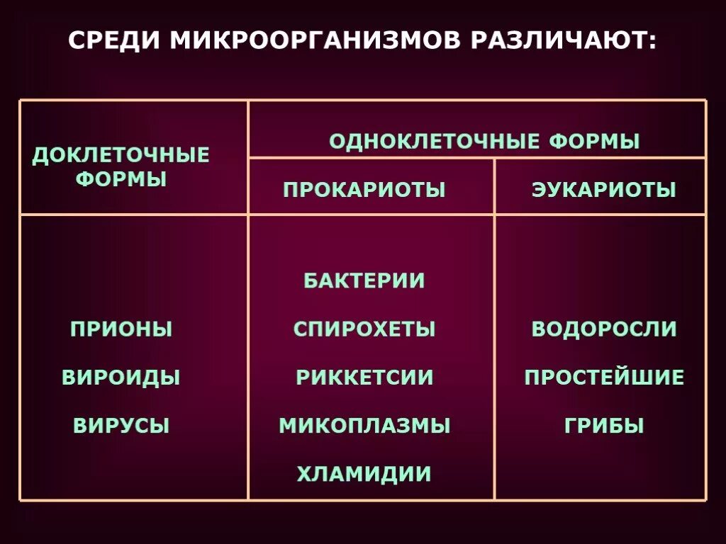 Установите соответствие а бактерии б грибы. Вирусы бактерии эукариоты. доклеточные формы микроорганизмов. классификация микроорганизмов прокариоты и эукариоты. прокариоты грибы вирусы бактерии прионы.