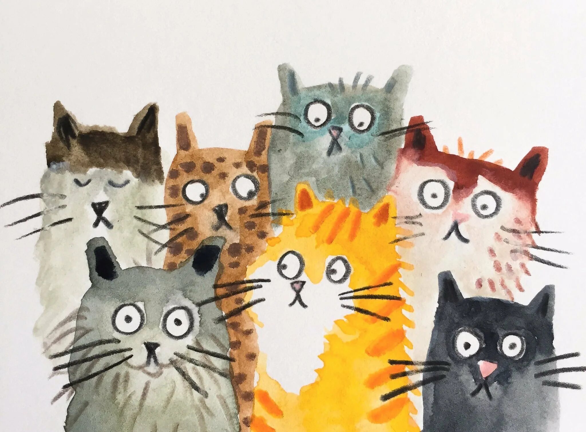Дайте картинок кошек. Семь кошек. семь кошек иллюстрации. такие разные кошки рисунки. семейный рисованный кот.