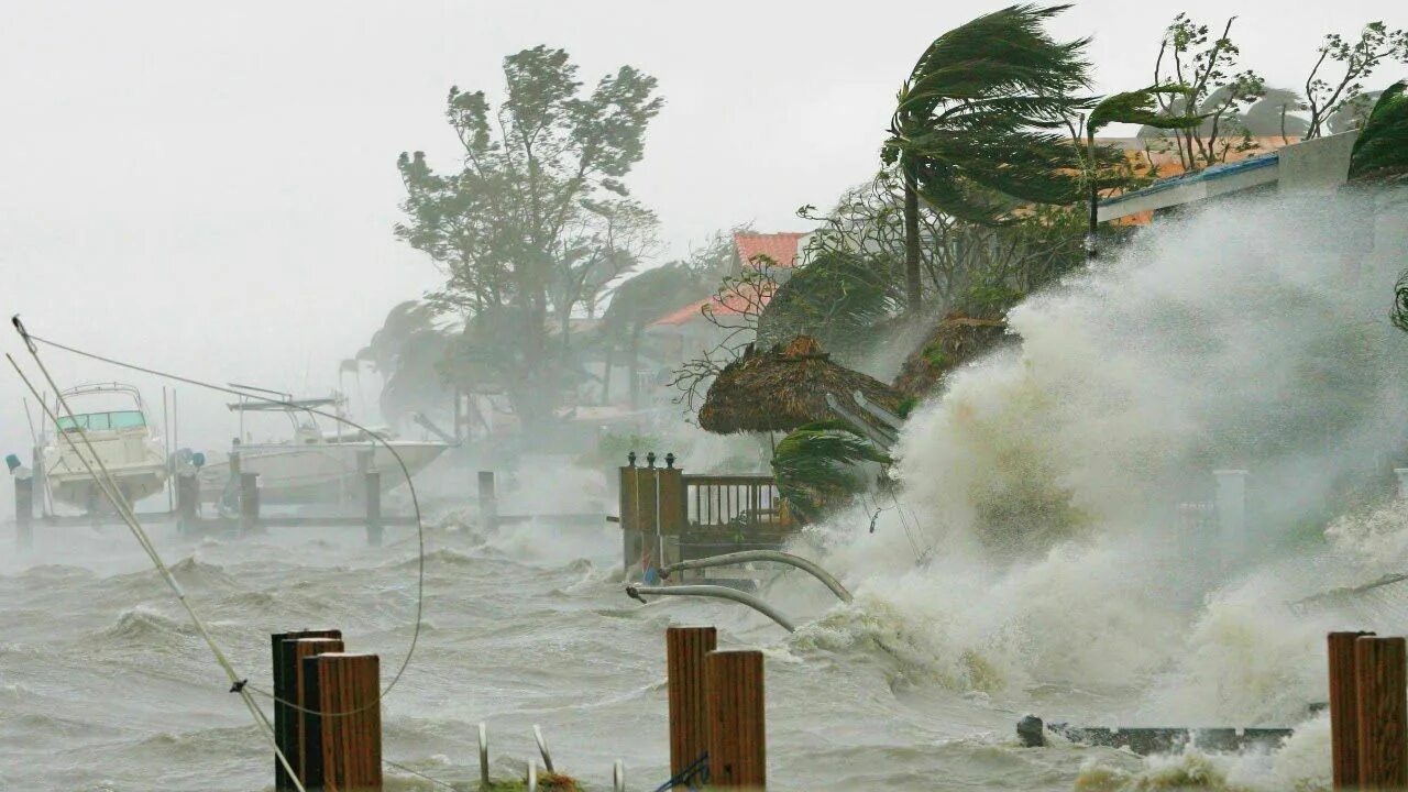 The hunt natural disaster. Ураган Вильма 2005. Стихийные бедствия смерч. Тихийны ебедствия. Наводнения. Ураганы засухи наводнения.