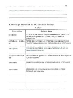 Рабочая тетрадь 9 класс сивоглазов