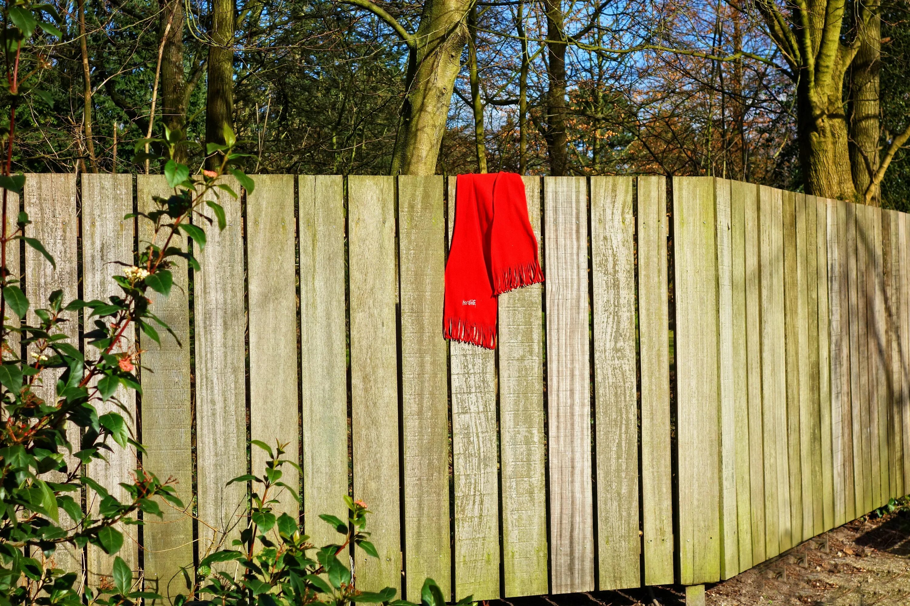 Манипуляция забор. Деревянный забор. Красный деревянный забор. Разноцветный деревянный забор. Тряпка на заборе.