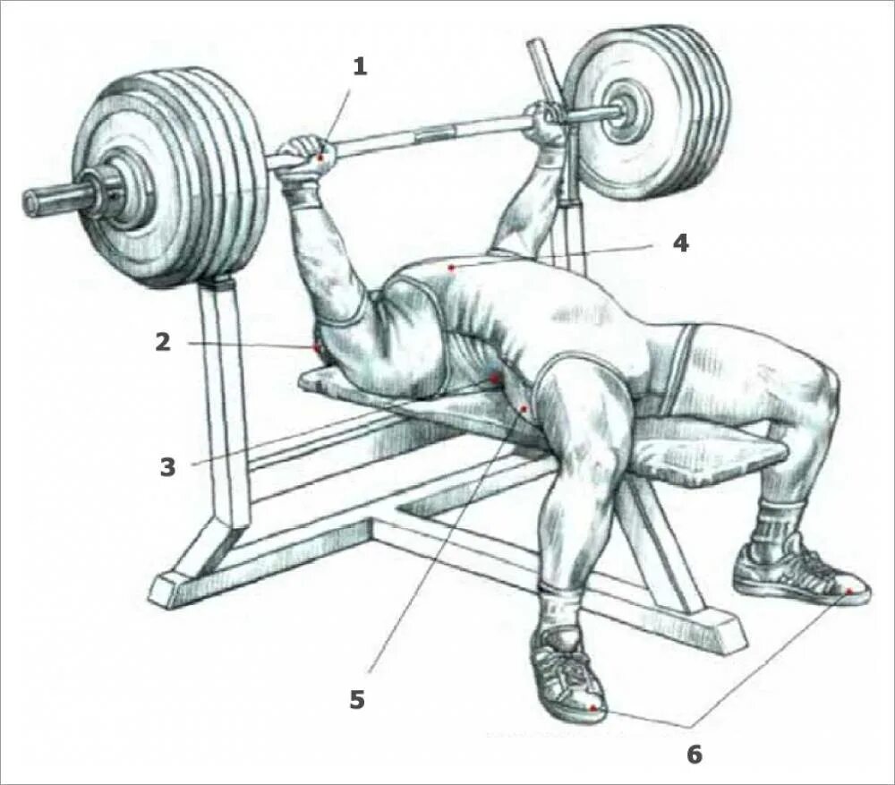 Сколько надо жать. Правильная техника выполнения жима лежа штанги. Правильное выполнение жима лежа штанги. Техника упражнения жим штанги лежа. Жим штанги лежа техника мышцы.