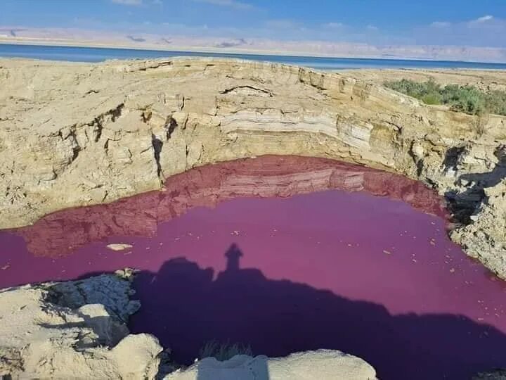 Мертвые водоемы. Мертвое озеро Иордания. Мертвое красное озеро. Озеро красного цвета. Кровавое озеро.