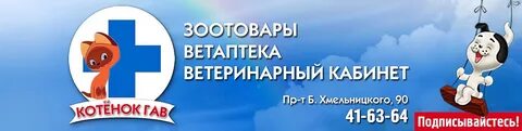 Ветклиника котенок гав