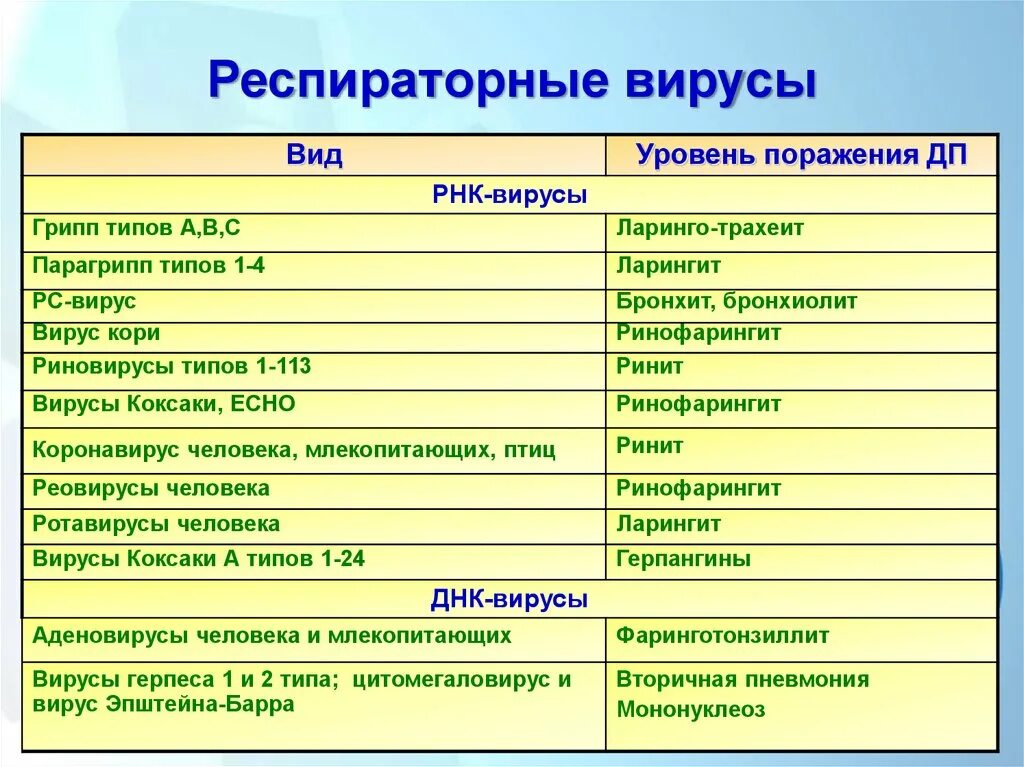 Респираторные заболевания вызывают. Респираторные вирусы. Основные группы респираторных вирусов. Классификация респираторных вирусов. ОРВИ группы вирусов.