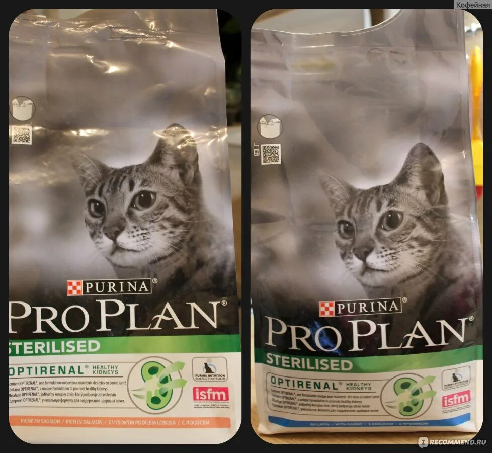 Проплан для кошек live clear. Корм для котят Пурина Проплан сухой. Проплан для кошек сухой для шерсти. Сухой корм для кошек 7+ Проплан. Пурина Проплан 7+ для кошек.