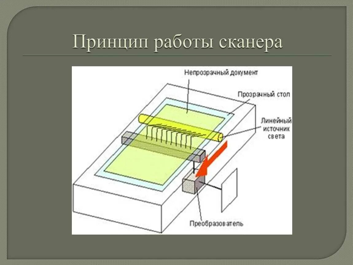 Включается сканер. Устройство сканера принцип работы. Принцип работы станерв. Сканер принцип. Строение сканера.